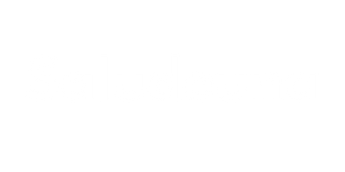 Saludeuna